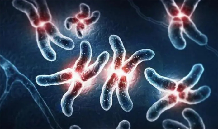 20号染色体大揭秘 让科学家都颤抖的存在（解码基因）
