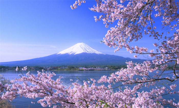 日本人心中的圣山富士山 居然是日本租的（私有山脉）