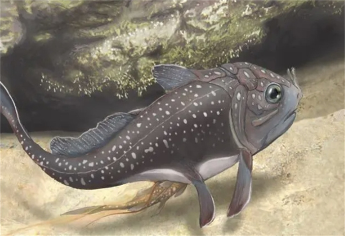 世界十大最神秘古老的鱼