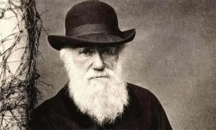 史上最受争议的理论，达尔文的进化论，真的有缺陷吗？