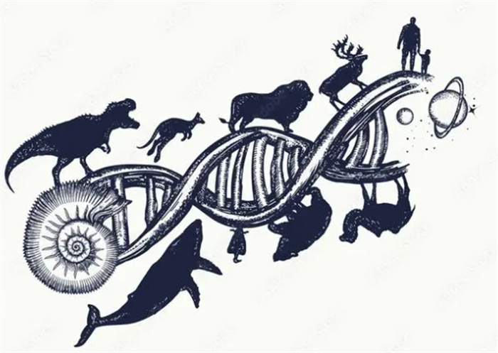 哪些动物在进化路上跑偏了？同样是进化，为何这些动物如此奇怪？