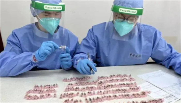 又是蚂蚁  海关截获300只活体蚂蚁  为何国外老向中国寄活蚂蚁
