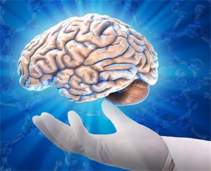 科学家实验揭秘 人死之前大脑在想什么（大脑活动）