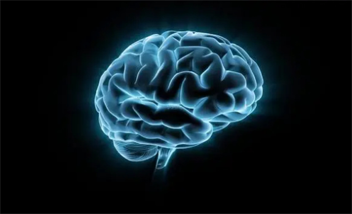 科学家实验揭秘 人死之前大脑在想什么（大脑活动）