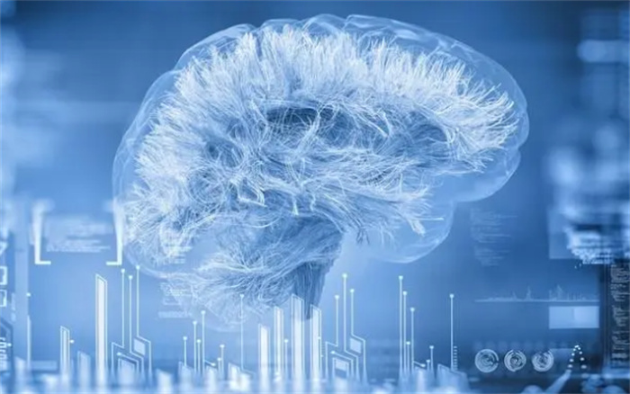 科学家揭露大脑秘密 大脑与智力的联系（人类智商）