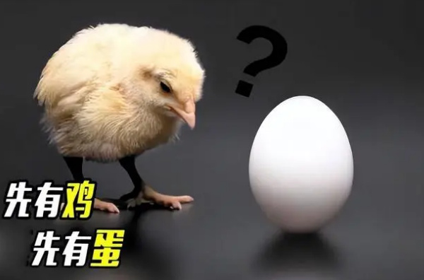 先有鸡还是先有蛋 世界难题有了解答（生命难题）
