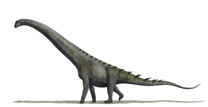 史前巨兽现身！揭秘世界上已知的6种巨型恐龙