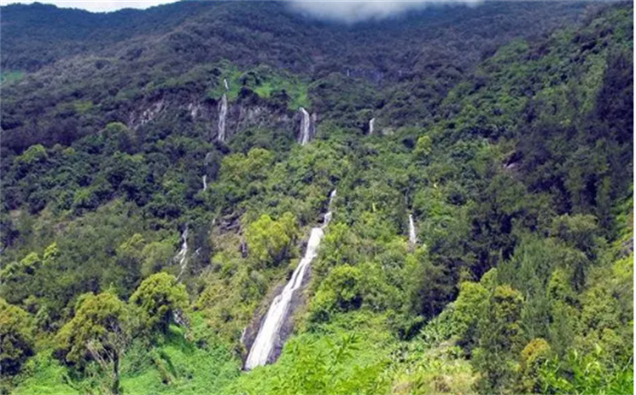 世界上最古老的10个雨林 你听说过哪几个