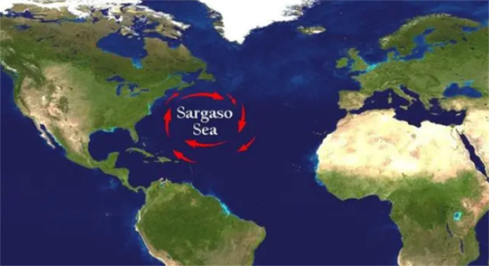 能见度达72米  为何还说马尾藻是地球最危险的海域  无人敢踏足