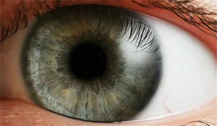 人类眼睛的秘密  高达5.76亿像素  占用65%脑力  这意味着什么