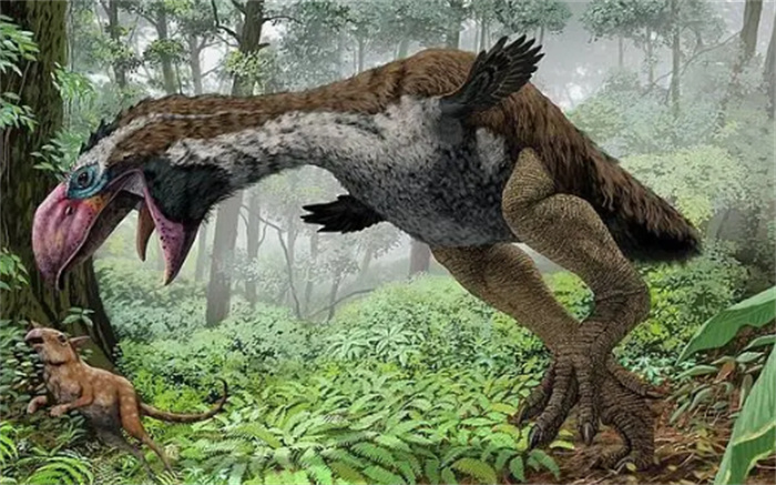 亿万年前凶猛的古鸟类是什么  它们真的可以捕食大型哺乳动物吗