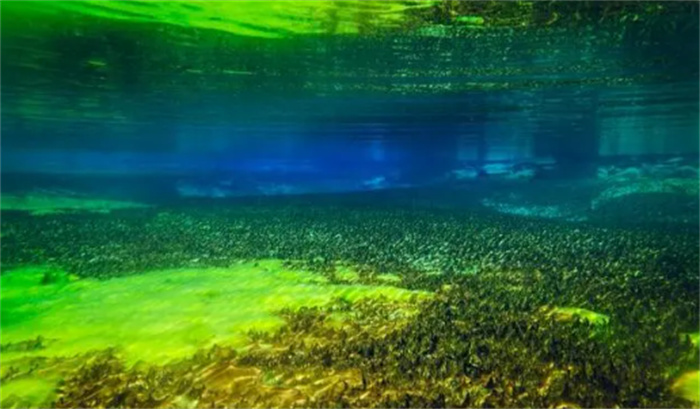 蓝湖：世界上最清澈的淡水湖  是人类已知的最清澈的淡水天然水体