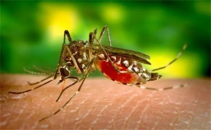 男人声称他的屁能消灭6米外的蚊子，有公司计划研发成灭虫剂