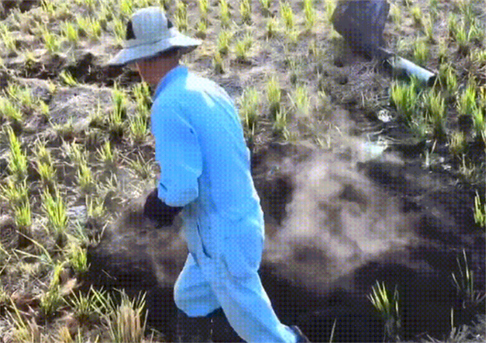 日本的人造黑土 会不会比肥料更加环保（人造土壤）