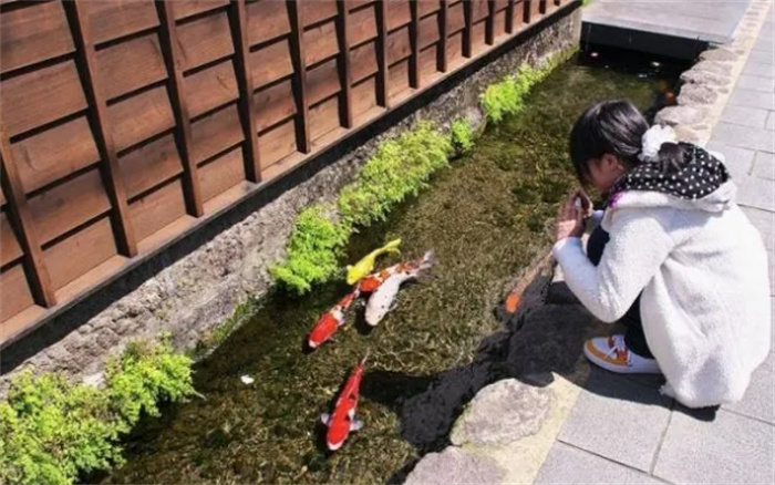 日本人究竟有多爱干净，看看下水道就知道了，简直丧心病狂！