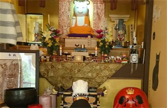奇葩的“猫神殿”  主持和僧侣都是猫咪  供奉着“大日猫来”