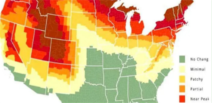 全球最美秋色地图  根据研究  今年最美秋色将在美国达到顶峰