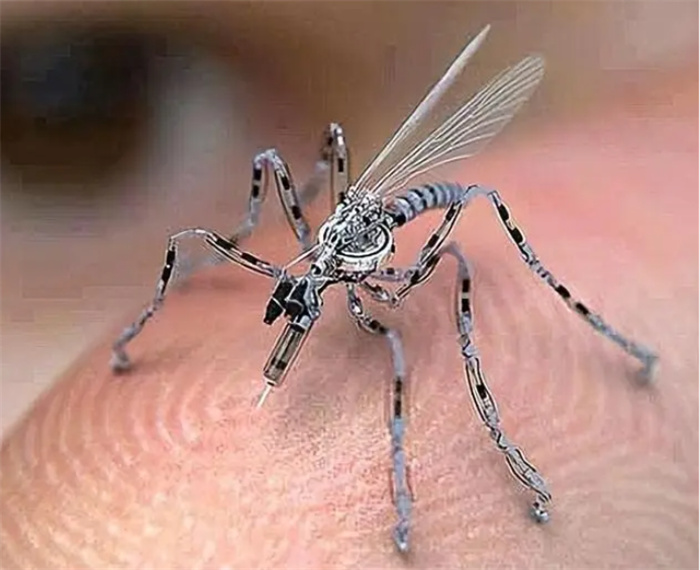 蚊子居然有36编号？它是基因实验出逃者，还是执行任务的特工？