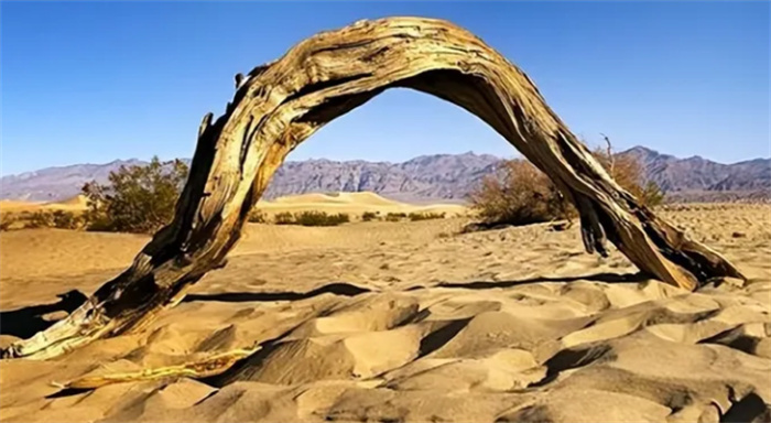 世界上地表温度最高的地方 伊朗的卢特荒漠（最高温度）