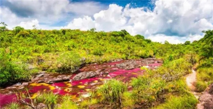 奇景：全世界独一无二的五色河：哥伦比亚壮观的“液体彩虹”
