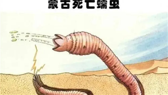 地球上最耐热动物庞贝蠕虫的奇特行为揭秘