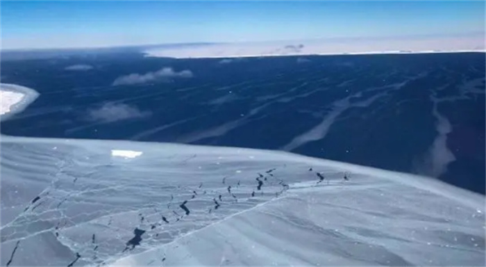 南极洲千年寒冰被钻开  发现史前古老生物  让科学家欣喜若狂