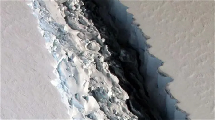南极洲千年寒冰被钻开  发现史前古老生物  让科学家欣喜若狂