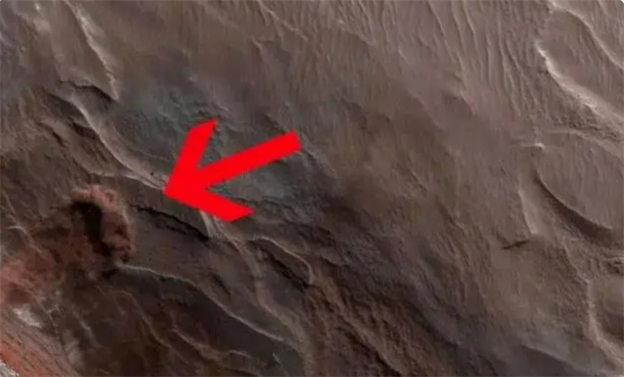 火星上真的有大树 美国探测器拍下的照片引发天文学家争议