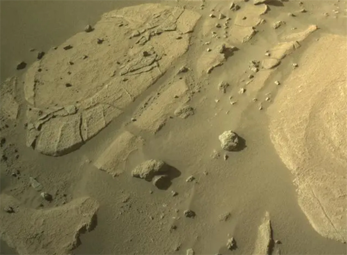 火星车发现圆圈结构 疑似火星生物化石 地外生命有戏了