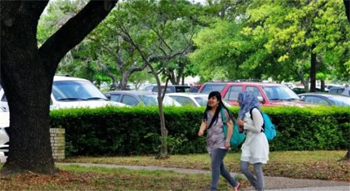 美国野鸡大学：没有班级和教授，只有一名特工，只为诱捕移民