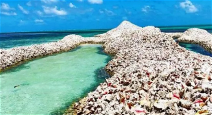 海螺岛：由数百万海螺壳建造的人造岛  美的就像童话世界