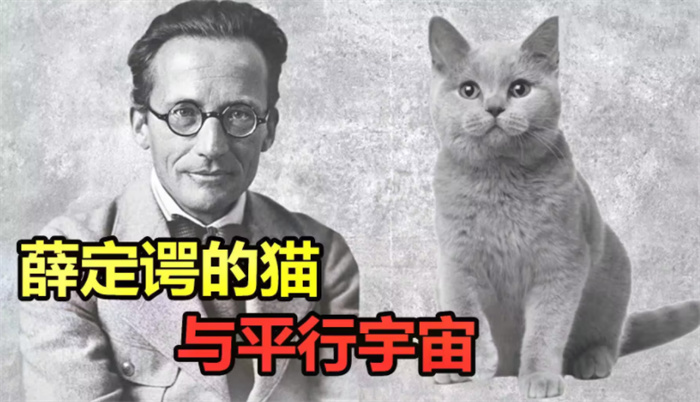对于薛定谔的猫理论 其实有着两种解释（科学理论）