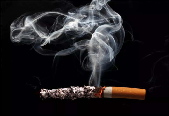 科学调查吸烟与健康的关系 二手烟的危害（二手烟）
