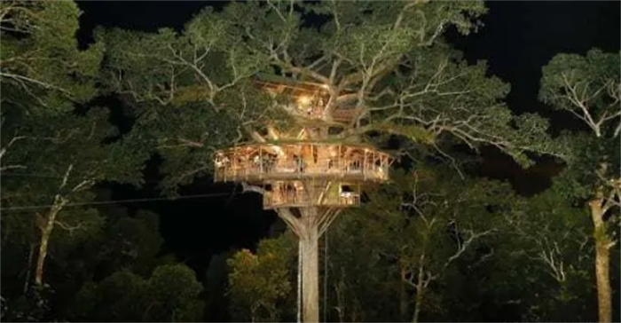 在世界上最高的树屋过夜，实现童年的梦想，40米高树屋自由行