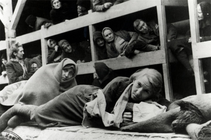 集中营里的残酷刑具 让犹太女人羞耻恐惧（木山羊）