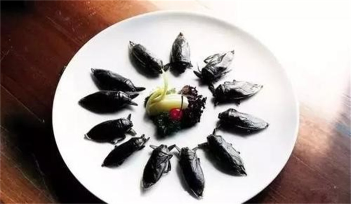 55000只蚂蚁做的甜点  墨尔本贵族的奢侈享受  简直丧心病狂