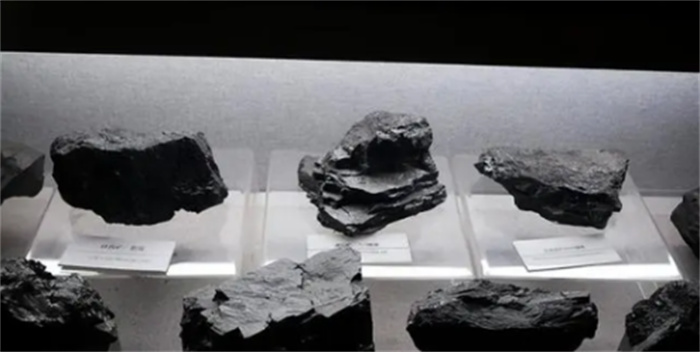 煤炭生成之谜解密：数十米厚的煤层  植物又是如何变成煤的