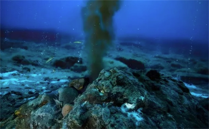 生活在450℃海底热泉旁的大虾，这温度，你确定不是虾火锅？