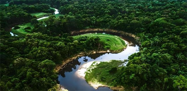 被称为“动物天堂 人类禁区”的亚马逊雨林  到底有多恐怖