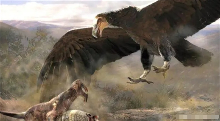 盘点史上最强大的10种鸟，雷鸣鸟超过400公斤，多数可秒杀东北虎