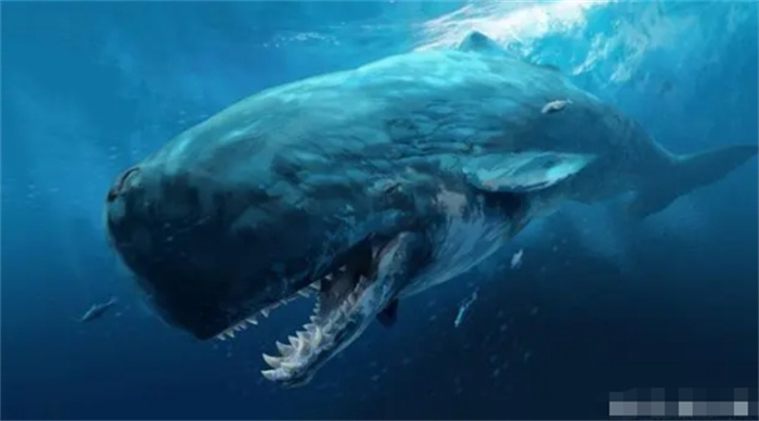 盘点史前最强大的10种生物，巨齿鲨仅排第6，沧龙力压帝鳄排第2