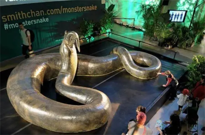 蛇能活多少年？蜕皮后又是一个全新的生命吗？