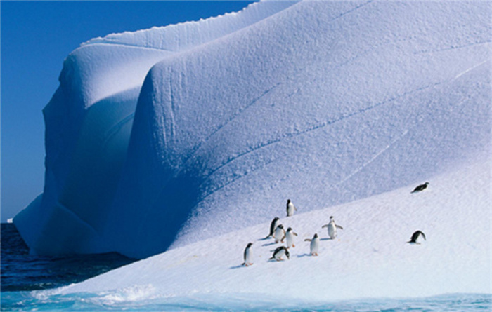 南极大陆上的未解之谜 极寒地区的怪异（南极之谜）