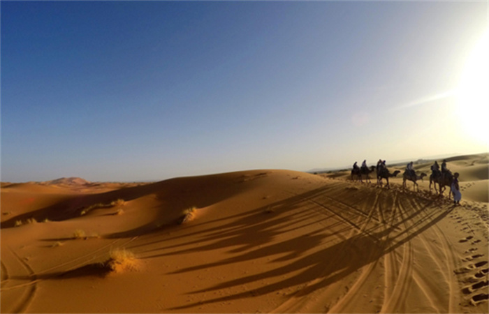 世界上面积最大的沙漠 占据非洲广大地区（撒哈拉沙漠）