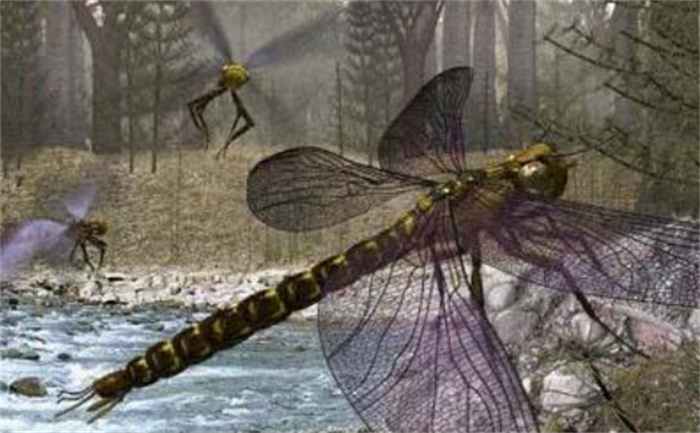 史前蜻蜓是什么动物（巨型节肢动物）