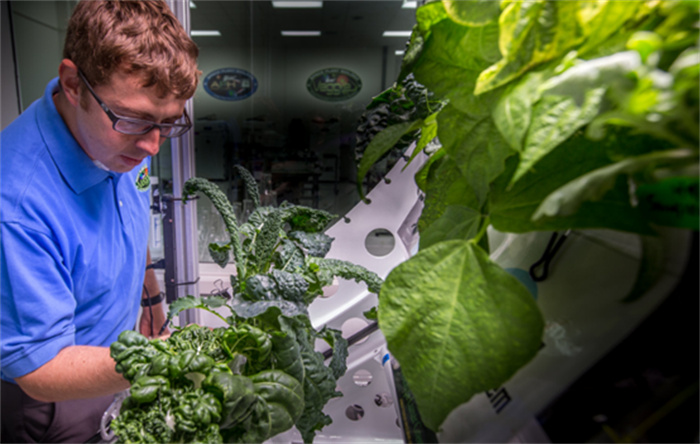 太空种植蔬菜计划 背后的科学原理与意义（太空种植）