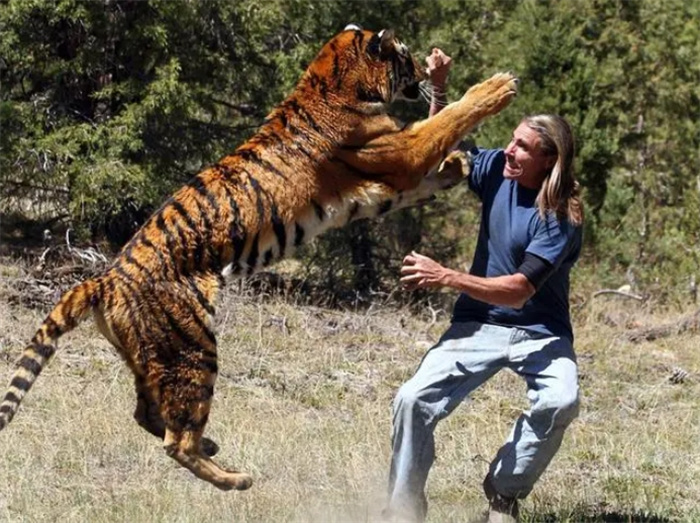 吃过人的老虎可以关在动物园吗（不可以）