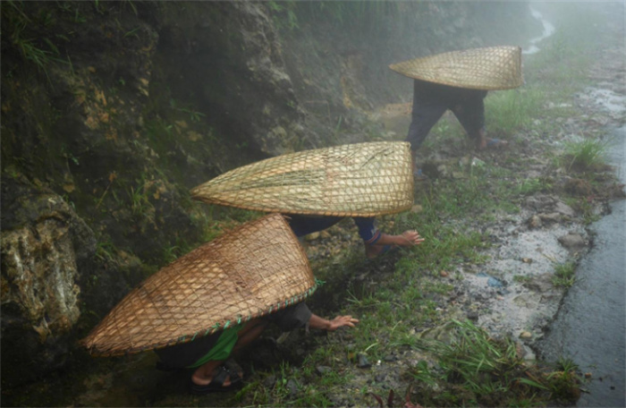 世界上降水量最大的地方 几乎每天都在下雨（毛辛拉姆）