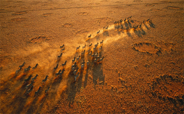 非洲纳米比亚荒原的怪圈 有怎么样未解之谜（仙女圈）