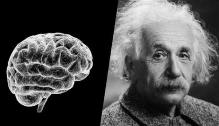 为什么很多科学家都热衷于研究天才的大脑（认为与众不同）